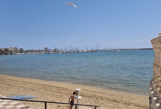 Segunda Mano - Apartamento - Torrevieja - Playa Acequion