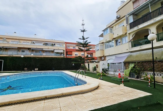 Segunda Mano - Apartamento - Torrevieja - Nueva Torrevieja