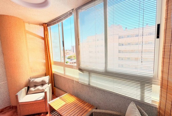 Segunda Mano - Apartamento - Torrevieja - Nueva Torrevieja