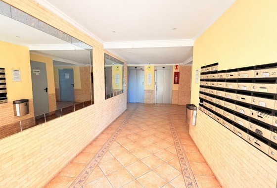 Segunda Mano - Apartamento - Torrevieja - Nueva Torrevieja
