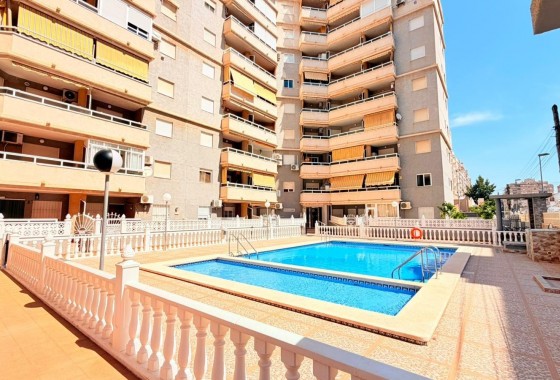 Segunda Mano - Apartamento - Torrevieja - Nueva Torrevieja