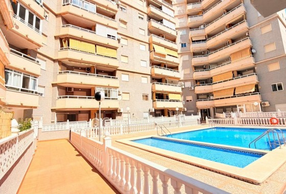 Segunda Mano - Apartamento - Torrevieja - Nueva Torrevieja