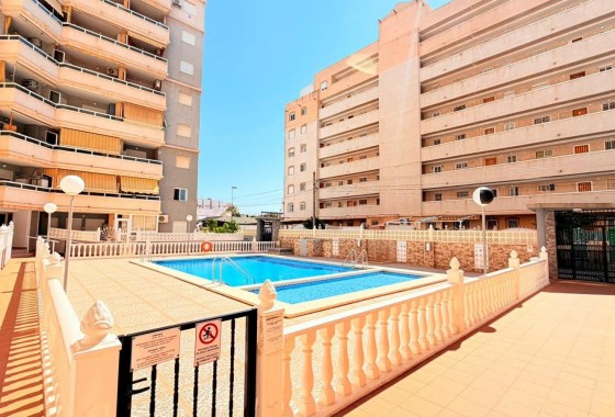 Segunda Mano - Apartamento - Torrevieja - Nueva Torrevieja