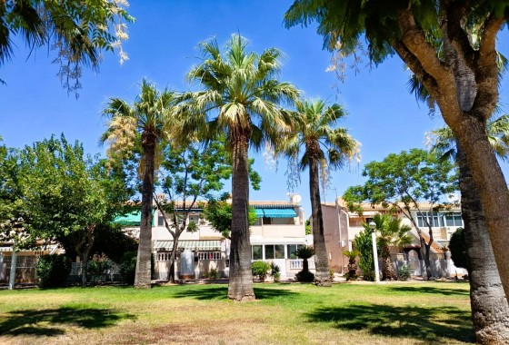 Revente - Bungalow - Orihuela Costa - La Regia