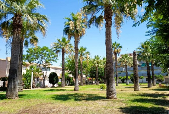 Revente - Bungalow - Orihuela Costa - La Regia