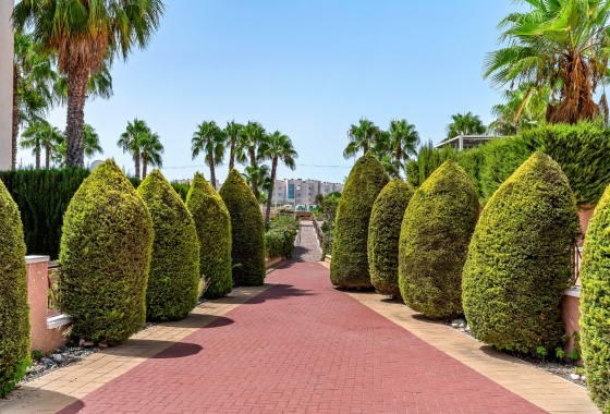 Revente - Appartement - Orihuela Costa - Playa Flamenca