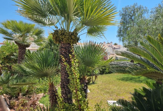 Revente - Appartement - Torrevieja - Los Balcones - Los Altos del Edén