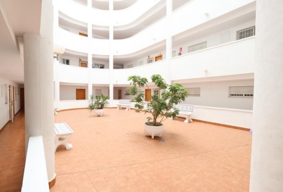 Revente - Appartement - Torrevieja - Parque de las Naciones