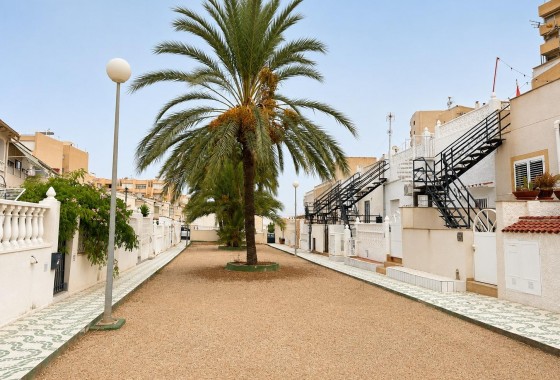 Revente - Bungalow - Torrevieja - Torre del moro