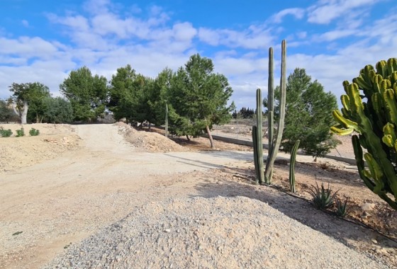 Revente - Villa - ORIHUELA - La Matanza