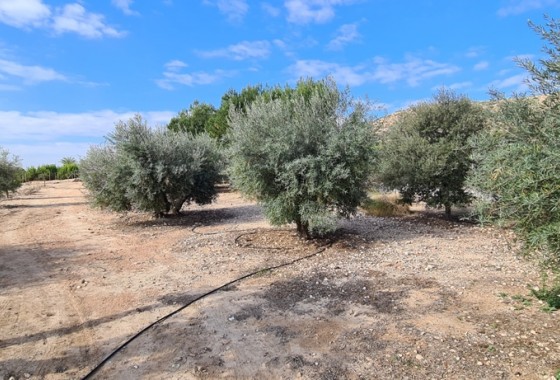 Revente - Villa - ORIHUELA - La Matanza