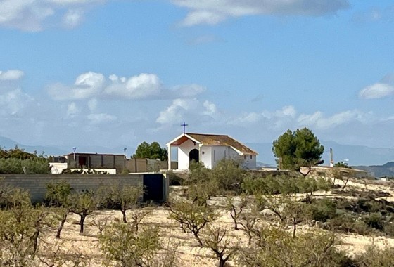 Revente - Terrain - BULLAS - Costa Calida