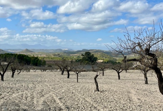 Revente - Terrain - BULLAS - Costa Calida