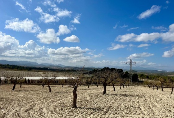 Revente - Terrain - BULLAS - Costa Calida
