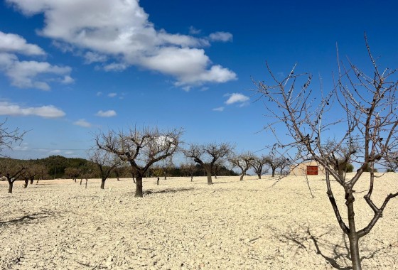 Revente - Terrain - BULLAS - Costa Calida