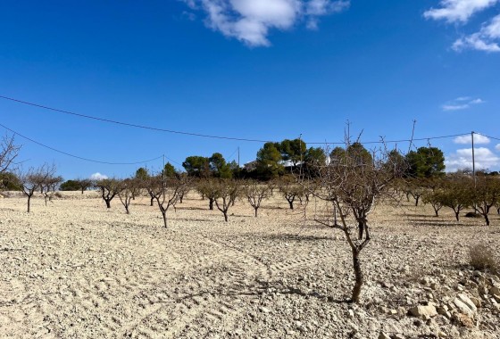 Revente - Terrain - BULLAS - Costa Calida