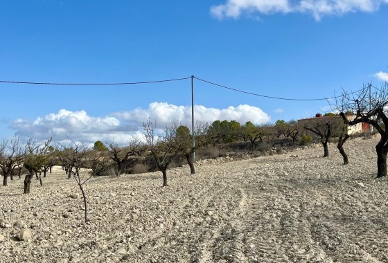 Revente - Terrain - BULLAS - Costa Calida