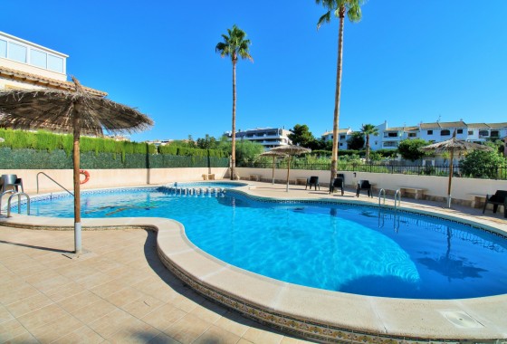 Segunda Mano - Apartamento - Playa Flamenca