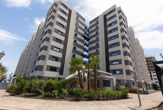 Revente - Appartement - Torrevieja - Punta prima