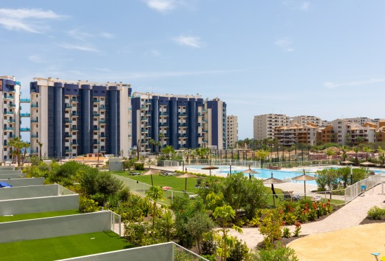 Revente - Appartement - Torrevieja - Punta prima