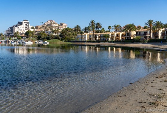 New Build - Bungalow - La Manga del Mar Menor - La Manga Club