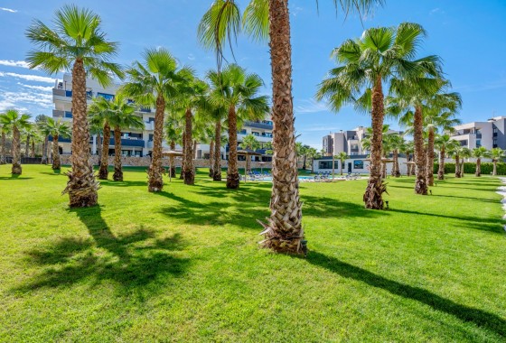 Segunda Mano - Apartamento - Orihuela Costa - Los Altos