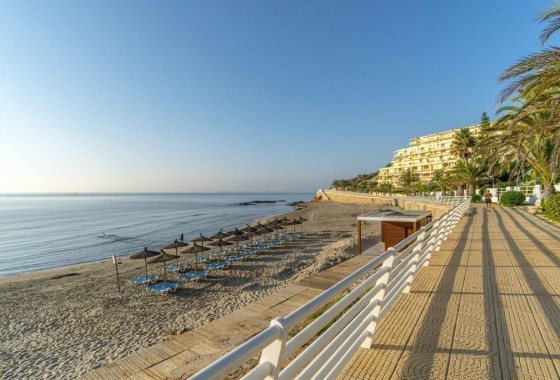 Segunda Mano - Adosado - Orihuela Costa - Campoamor