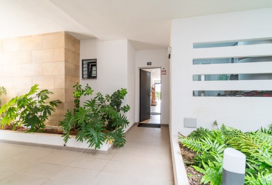 Revente - Appartement - Orihuela Costa - Playa Flamenca