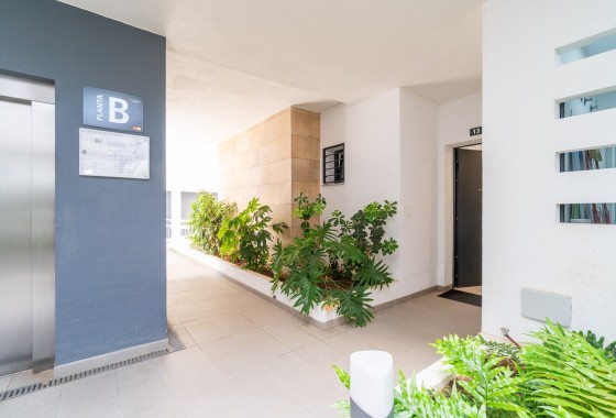 Revente - Appartement - Orihuela Costa - Playa Flamenca