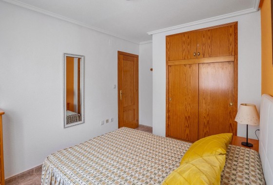 Segunda Mano - Apartamento - Torrevieja - Estacion de autobuses