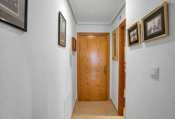 Segunda Mano - Apartamento - Torrevieja - Estacion de autobuses