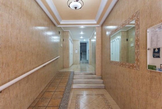 Segunda Mano - Apartamento - Torrevieja - Estacion de autobuses