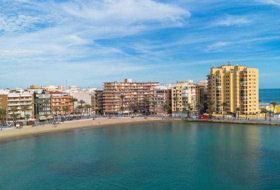 Segunda Mano - Apartamento - Torrevieja - Estacion de autobuses