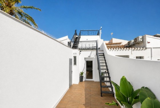 Segunda Mano - Adosado - Orihuela Costa - Punta Prima