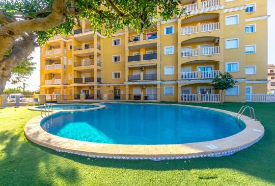 Segunda Mano - Apartamento - Torrevieja - Torreblanca