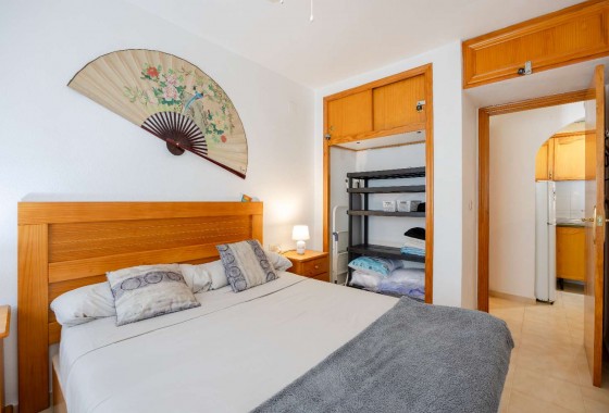 Alquiler a largo plazo - Apartamento - Torrevieja