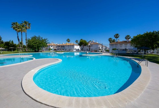 Alquiler a largo plazo - Apartamento - Torrevieja