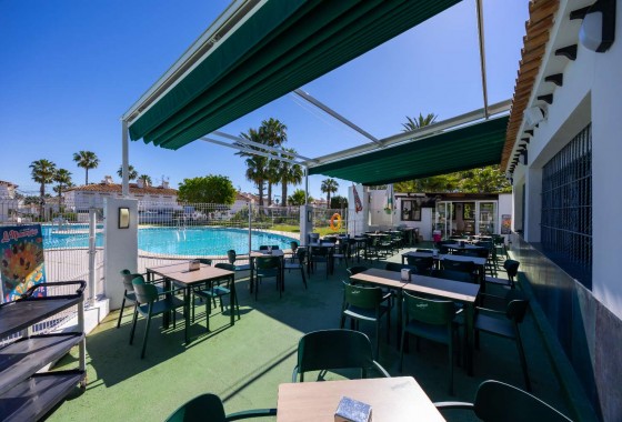 Alquiler a largo plazo - Apartamento - Torrevieja