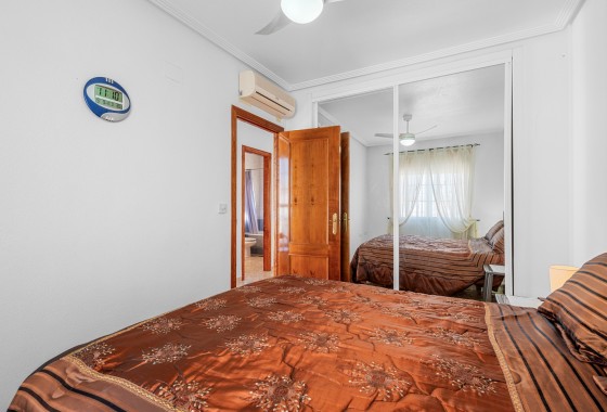 Segunda Mano - Chalet - Guardamar del Segura