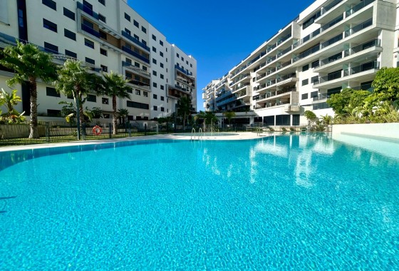 Segunda Mano - Apartamento - Orihuela Costa - Campoamor