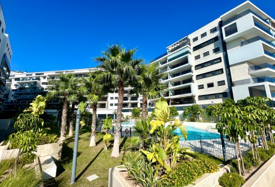 Segunda Mano - Apartamento - Orihuela Costa - Campoamor
