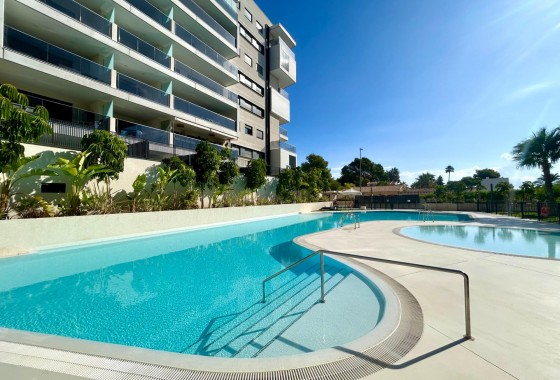 Segunda Mano - Apartamento - Orihuela Costa - Campoamor