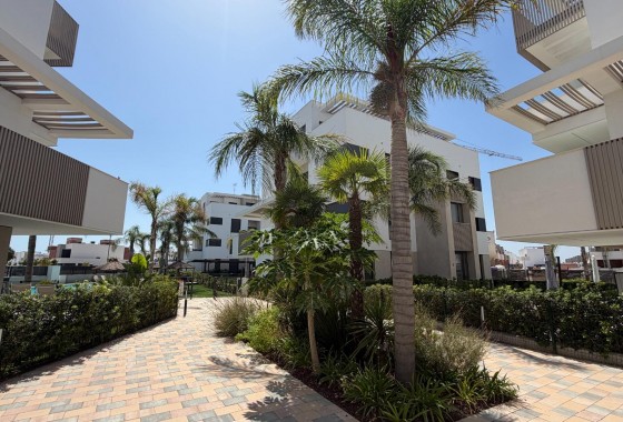 Segunda Mano - Apartamento - Los Alcázares - Dolores de Pacheco-Santa Rosalía