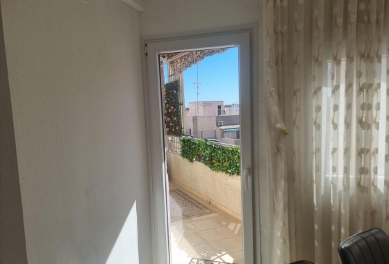 Segunda Mano - Apartamento - Torrevieja - Playa de los Locos