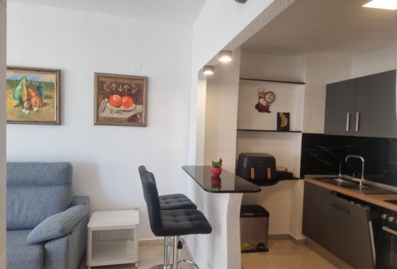 Segunda Mano - Apartamento - Torrevieja - Playa de los Locos