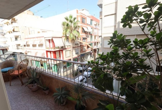 Segunda Mano - Apartamento - Torrevieja - torrevieja