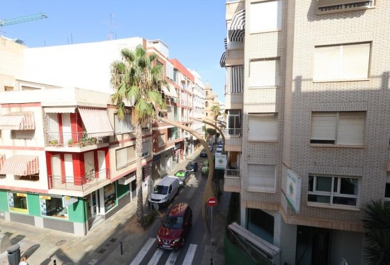 Segunda Mano - Apartamento - Torrevieja - torrevieja