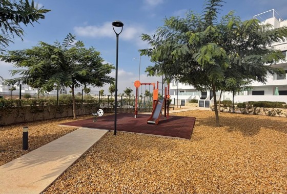 Segunda Mano - Apartamento - Santa Rosalia