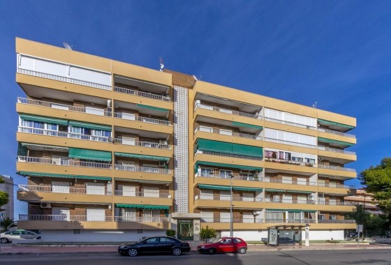 Segunda Mano - Apartamento - Torrevieja - Punta prima