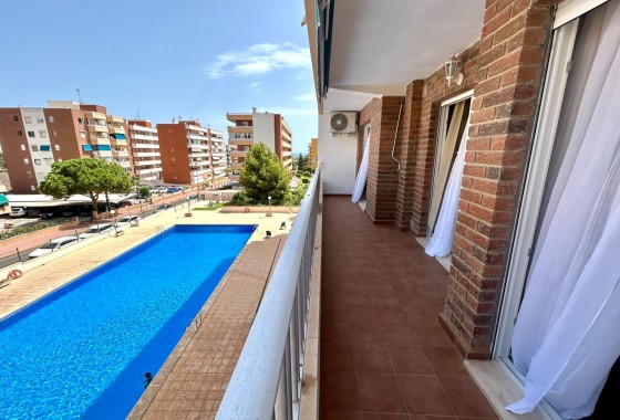 Segunda Mano - Apartamento - Torrevieja - Punta prima